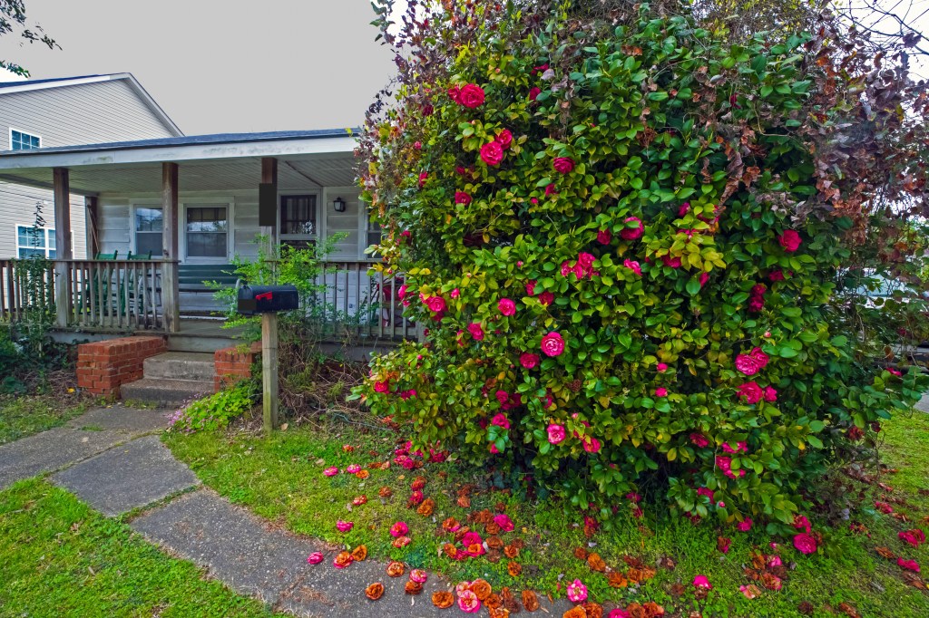 This image has an empty alt attribute; its file name is zzz_09i1823.jpg